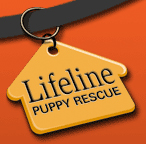 lifeline puppy resource